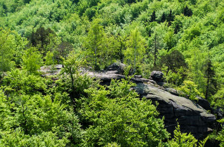 Panoramic view from the castle  Chojnik Poland - Karkonoski National Parkの写真素材