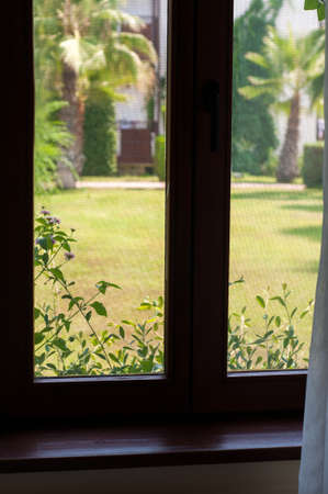 Old brown window overlooking the greeneryの写真素材