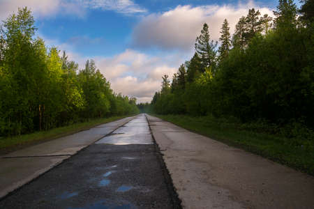The road of the plates goes through the forest.の写真素材
