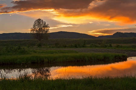 Colorful landscape at the sunrise. River in forest at sunset. Peaceful and calm mood. Romantic sky...