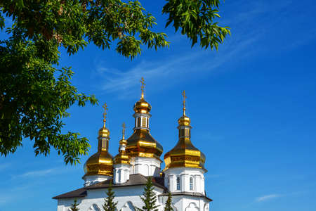 Gold-plated domes of Orthodox church through green foliage against the blue sky. Russia