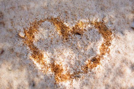 Texture, background, pattern. Autumn bright yellow needles of larch under first winter snow. Heart on the snow. The blur on the edgesの写真素材