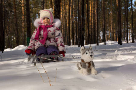A child in a sled and a toy dog huskyの写真素材