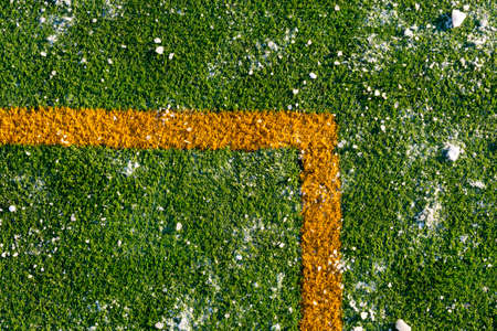 Green grass on a football soccer field covered with a snowの写真素材