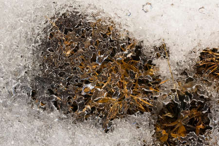 Ice and snow surface close up, winter or spring background. The texture of the ice and snowの写真素材