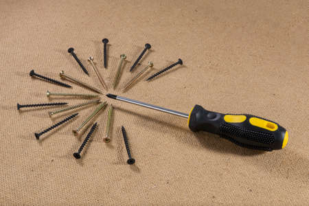 Screwdriver screws on wood board top view. Screws and screwdriver laid in the form of plants on wooden backgroundの写真素材