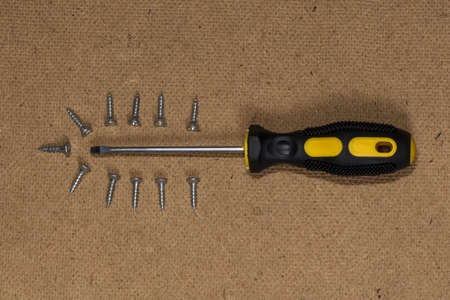 Screws and screwdriver laid out in the form of the cactus on wooden background. Screwdriver tapping...