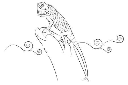 kapom, lizardのイラスト素材