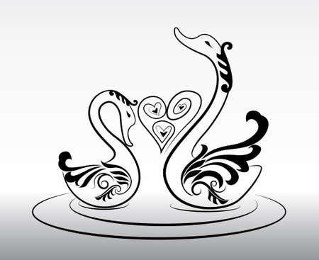 2 swimming swans in love vectorのイラスト素材