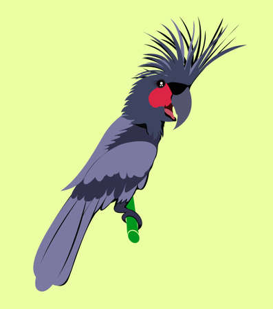 Cartoon animal ,Cockatoo , flat coloring style vectorのイラスト素材