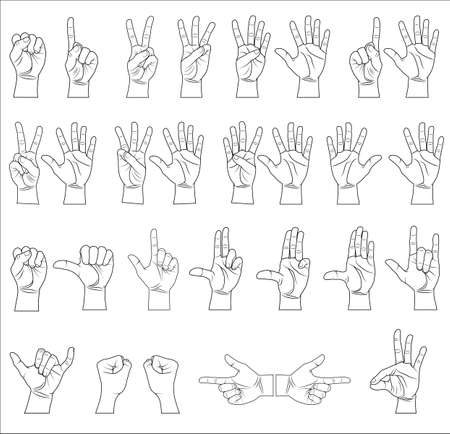 Hand collection - vector line illustrationのイラスト素材