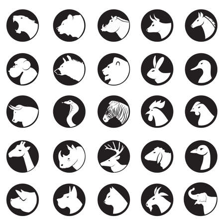 animal coins or collectionのイラスト素材