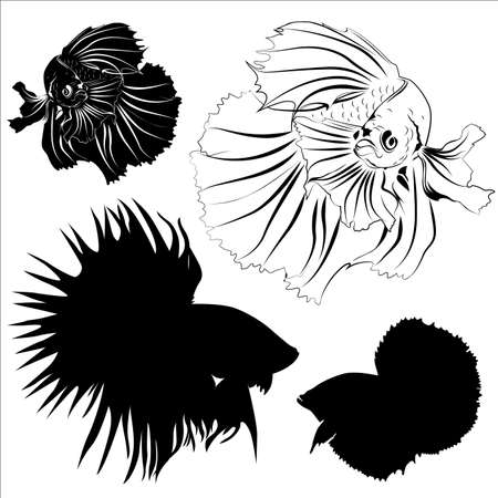 Silhouette, carving, and drawing of Siamese fighting fish vector in eps10のイラスト素材