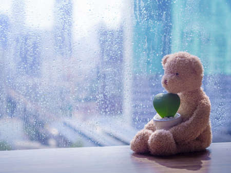Bear in love