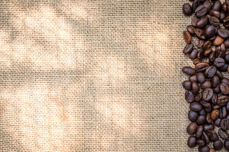 coffee seed on sackclothの写真素材