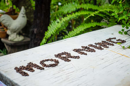 coffee beans morningの写真素材