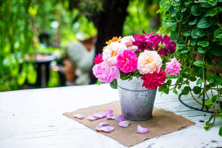 color full rosesの写真素材