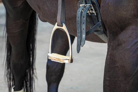Stirrup on Thoroughbred Horseの写真素材