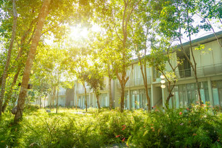 garden in resortの写真素材