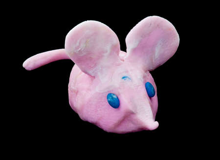 The plasticine mouse. Creativity of children from preschool ageの写真素材