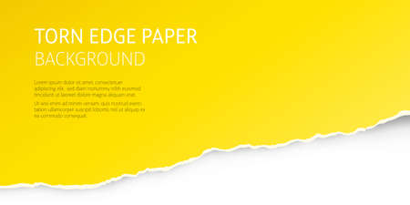 Torn edge paper colorful background. Page or card vector template.のイラスト素材