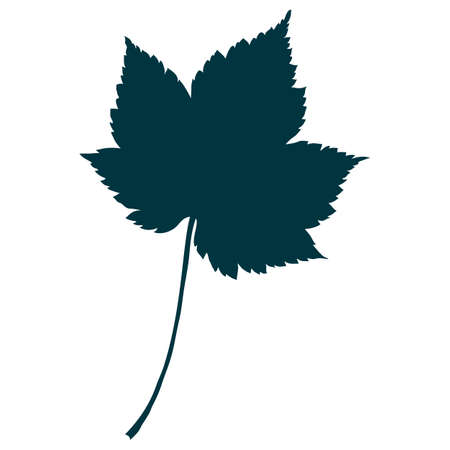 Autumn maple leaf silhouette isolated on white background. Simple cartoon flat style vector illustration.のイラスト素材