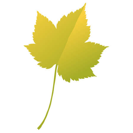 Autumn maple leaf isolated on white background. Simple cartoon flat style vector illustration.のイラスト素材
