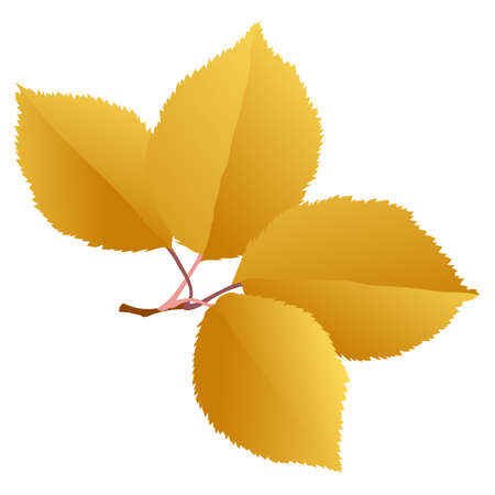 Elm branch with gold autumn leaves isolated on white background. Simple cartoon flat style vector illustration.のイラスト素材