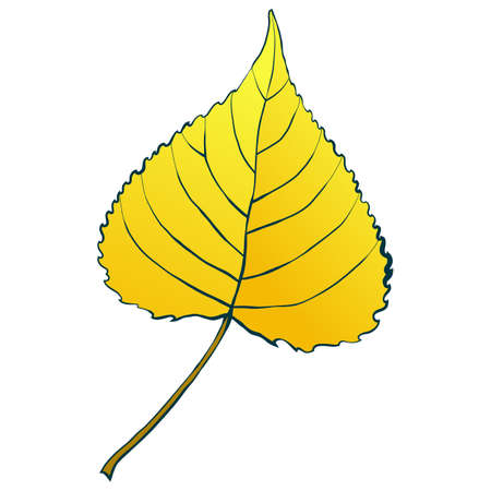 Gold autumn aspen leaf isolated on white background. Simple cartoon flat style vector illustration.のイラスト素材