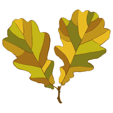 Two gold autumn oak leaves are isolated on white background. Simple cartoon flat style vector illustration.のイラスト素材