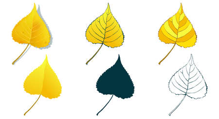 Big set of vector fall tree leaf shapes drawing in different styles: hand-drawn sketch, silhouette, flat, cartoon are isolated on white background. Golden aspen leaves coloring sheet.のイラスト素材