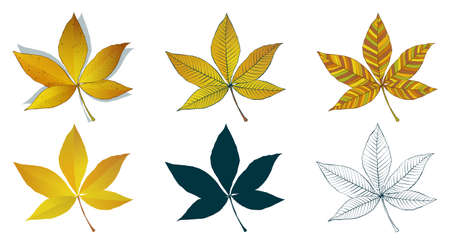 Big set of vector fall tree leaf shapes drawing in different styles: hand-drawn sketch, silhouette, flat, cartoon are isolated on white background. Yellow chestnut leaves coloring sheet.のイラスト素材