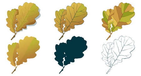 Big set of vector fall tree leaf shapes drawing in different styles: hand-drawn sketch, silhouette, flat, cartoon are isolated on white background. Autumn oak leaves coloring sheet.のイラスト素材