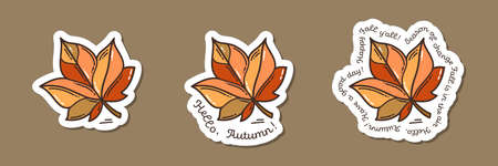Colorful hand-drawn harvest sticker set with maple leaf and lettering in doodle style isolated on white background. Cute vector collection for seasonal decoration.のイラスト素材