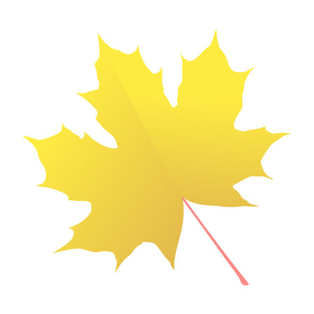 Hand-drawn gold autumn colored maple leafのイラスト素材