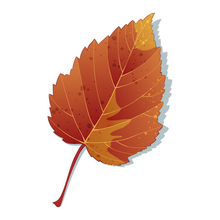 Hand-drawn autumn colored orange maple fall leafのイラスト素材