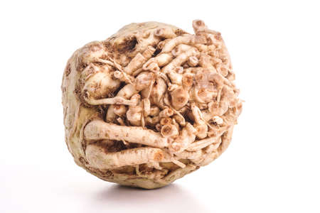 Fresh Healthy Organic celeriac isolated on White