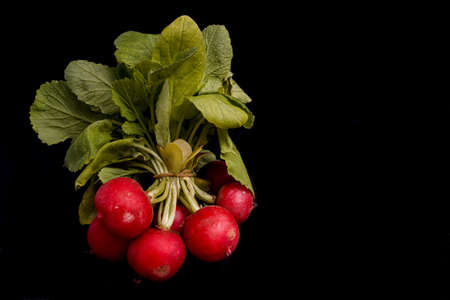 Bunch of Raddish isolated on black backgroundの写真素材