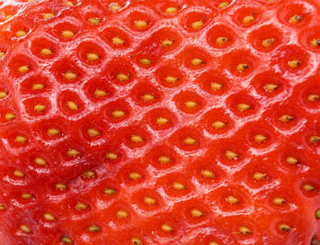Super red healthy Organic Strawberry close upの写真素材