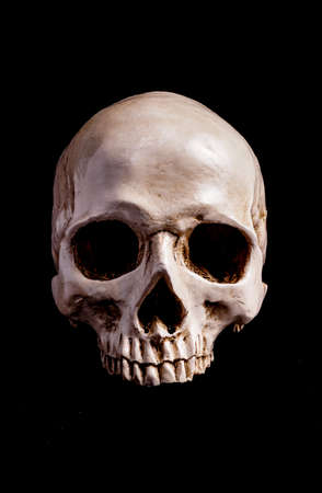 Human Skull Isolated on black, with copy spaceの写真素材