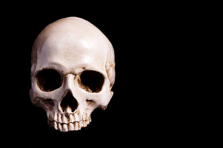 Human Skull Isolated on black, with copy spaceの写真素材