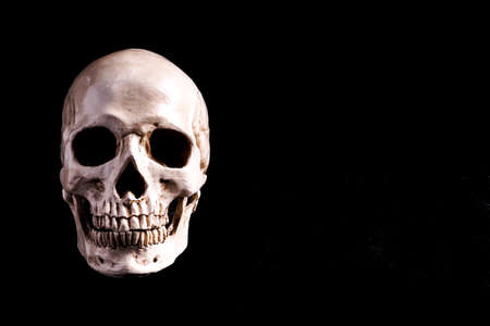Human Skull Isolated on black, with copy spaceの写真素材