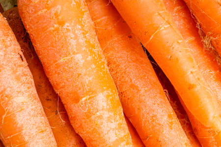 Bunch of Organic Carrots with Leaves. Close up and Macro, Background