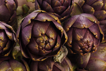 Pile of Purple artichokes ready for cookingの写真素材