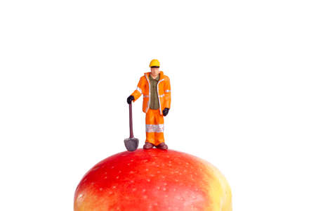 small figure of a worker standing on an apple, isolated on whiteの写真素材