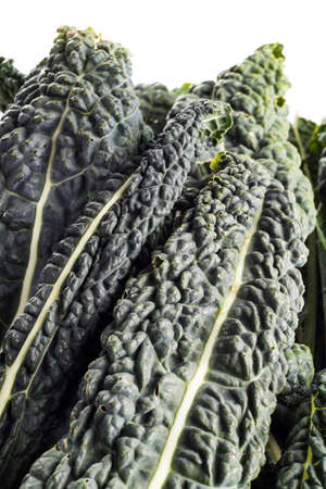 Black Kale, Italian Kale, Black Cabbage, Cavolo nero isolated on whiteの写真素材