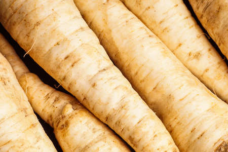 pile of Parsley root, close up and backgroundの写真素材