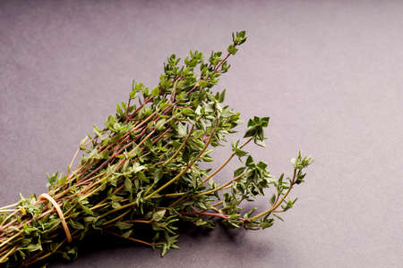 bunch of healthy organic herbs, green Thymeの写真素材
