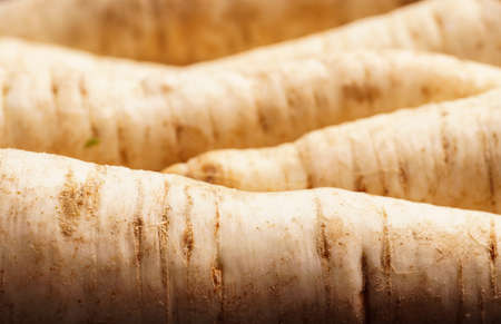 pile of Parsley root, close up and backgroundの写真素材