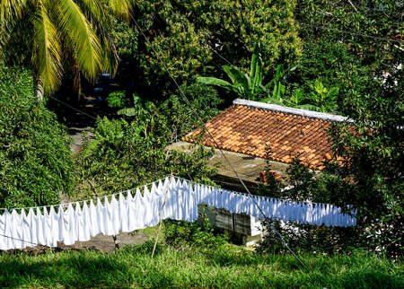 White Laundry hanging to dry outside with the roof of a House in the background and trees and Palmsの写真素材